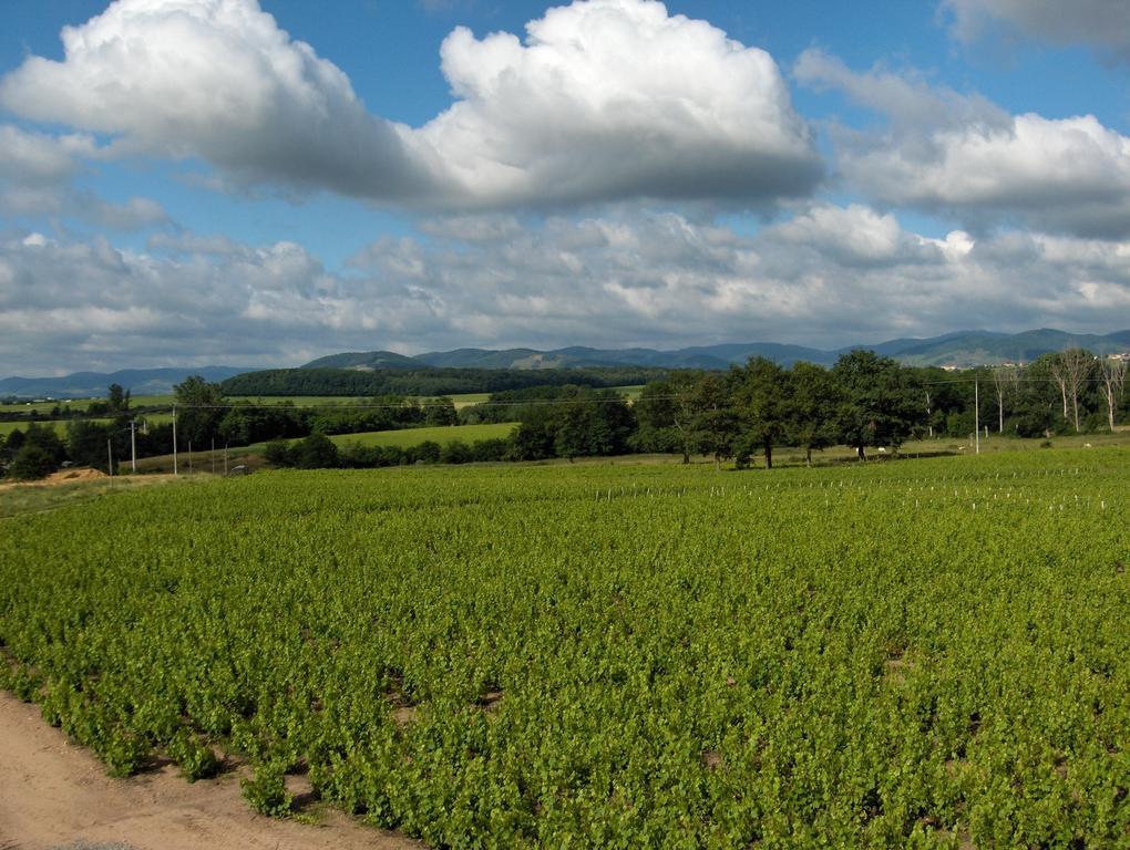 Апартаменты Coeur De Beaujolais Корсель-ан-Божоле Экстерьер фото